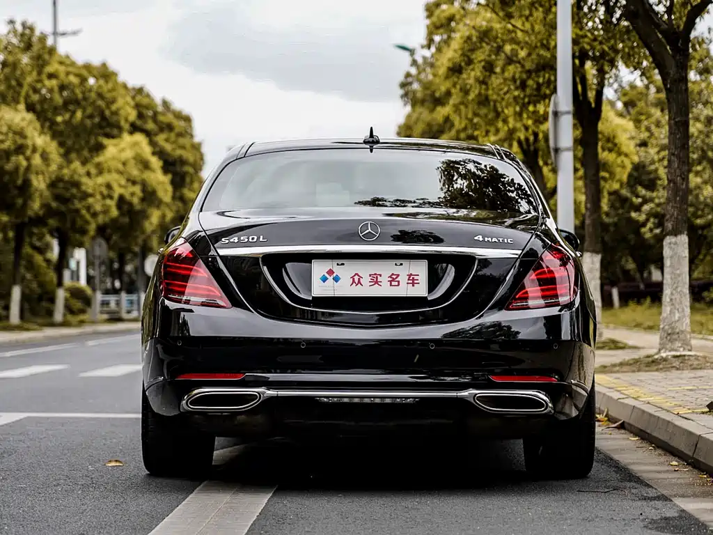 Mercedes-Benz Mercedes-Benz S-Class 2020 S 350 L Business Edition Zhen Cang Edition 2020 - thumbnail 4