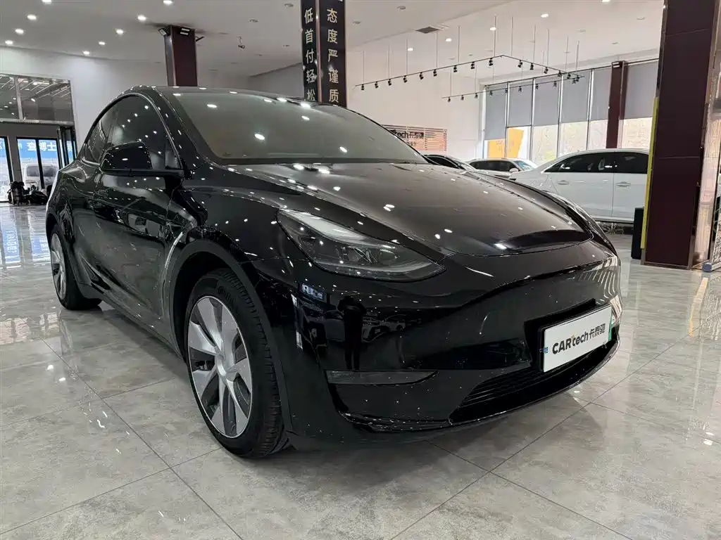 Tesla Model Y 2021 Standard Range RWD 2022 - thumbnail 2
