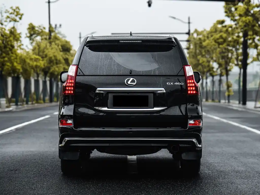 Lexus Lexus GX 2024 Lingfeng Edition 2024 - thumbnail 4