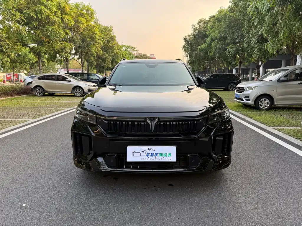 Voyah Voyah FREE 2025 318 RWD Touring Edition 2024 - thumbnail 8