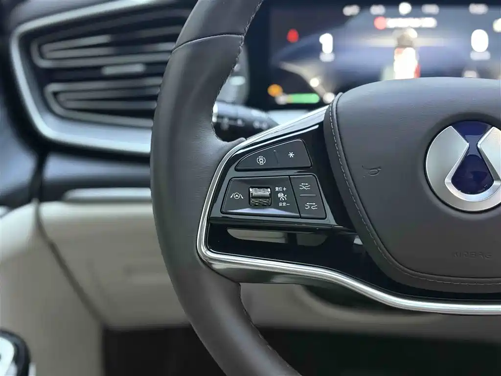 Denza Denza D9 2024 DM-i 980 AWD Prestige Edition 2024 - thumbnail 15