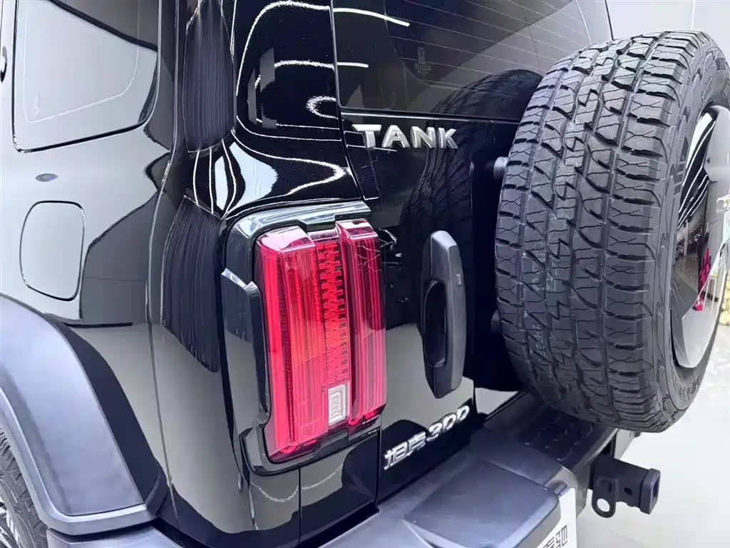 Tank Tank 300 2024 2.0T Conqueror Edition 2024 - thumbnail 5