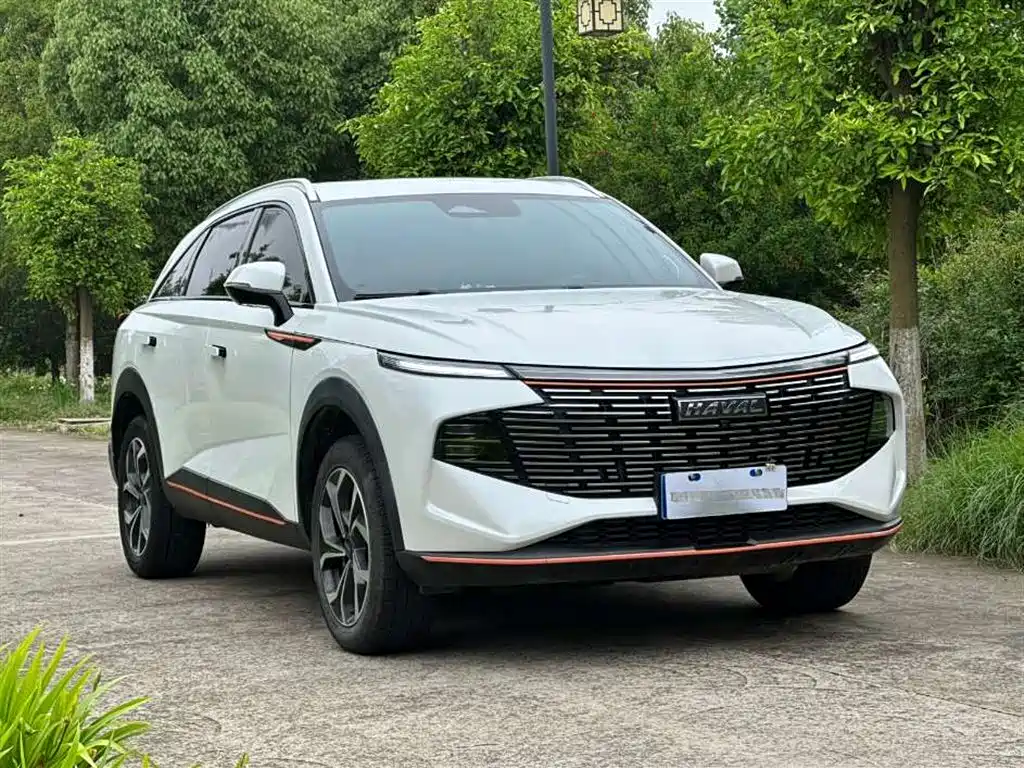 Haval Haval Shenshou 2022 1.5T Zhi Zun Edition 2022 - thumbnail 2