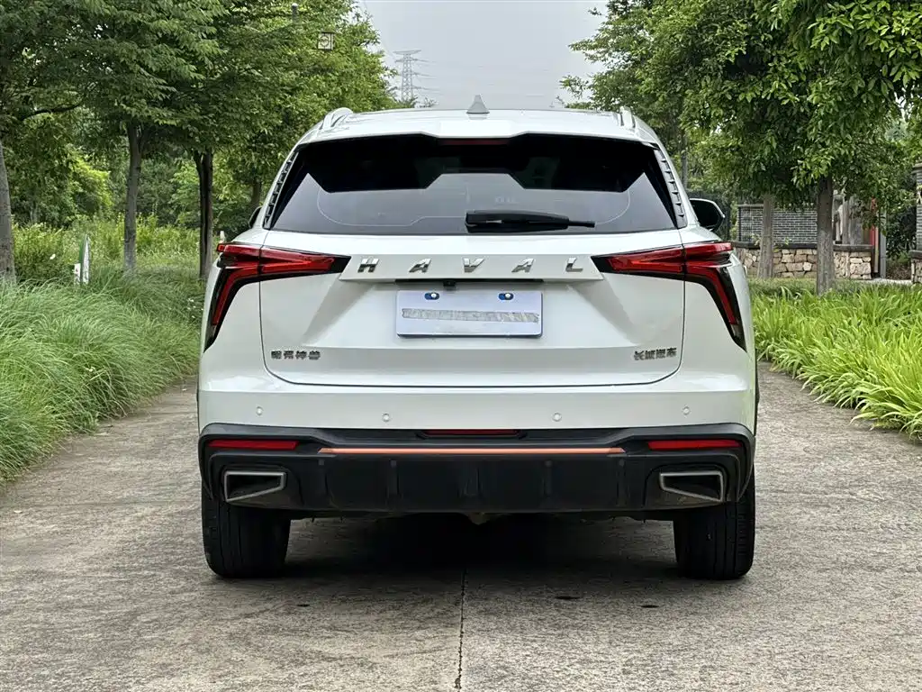 Haval Haval Shenshou 2022 1.5T Zhi Zun Edition 2022 - thumbnail 5