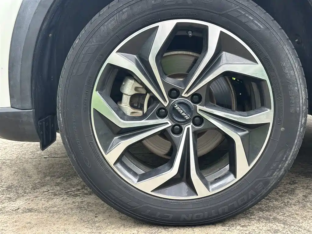 Haval Haval Shenshou 2022 1.5T Zhi Zun Edition 2022 - thumbnail 7