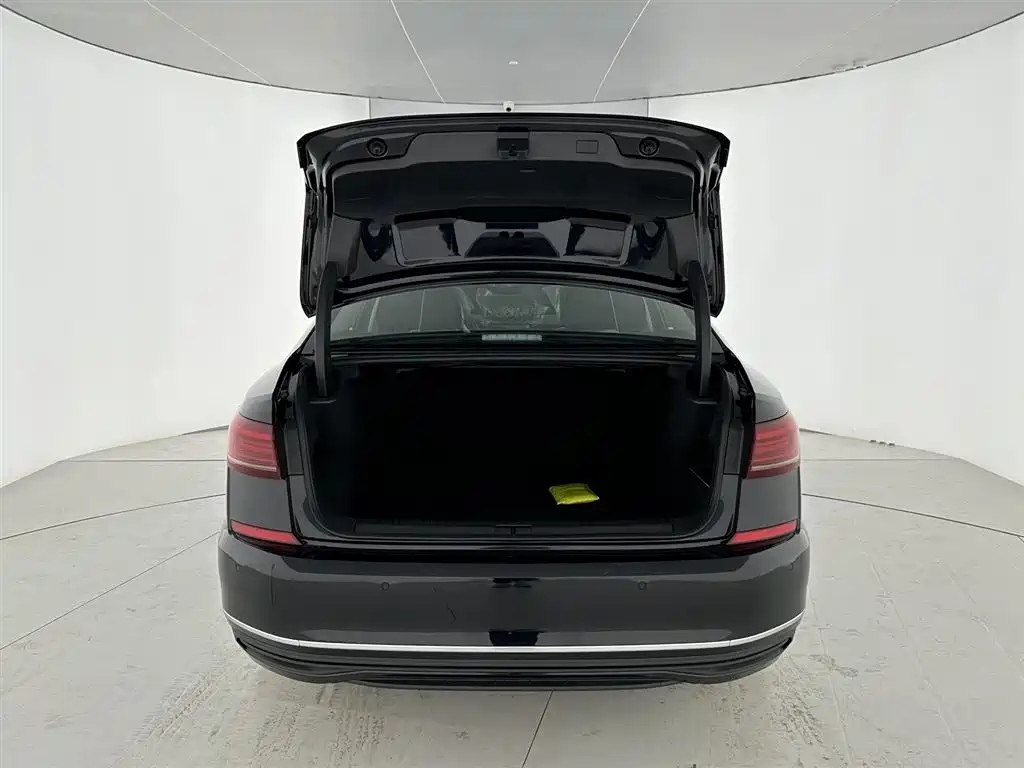 Volkswagen Volkswagen Passat 2026 380TSI Starry Sky Longteng Edition 2026 - thumbnail 4