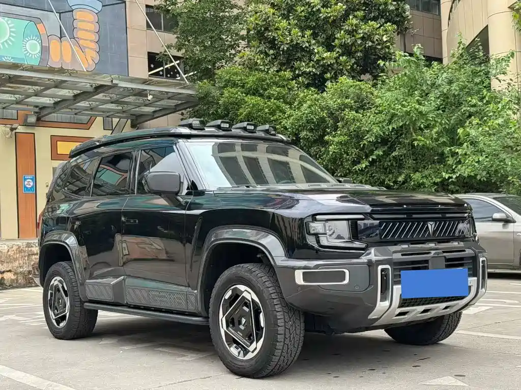 Deepal Deepal G318 2025 Wuyou Crossing Edition 4WD Mijing Edition 2025 - thumbnail 3