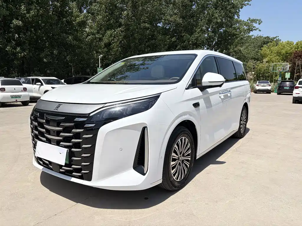 BYD Xia 2025 DM-i 1.5T 100km Leading Edition 2025