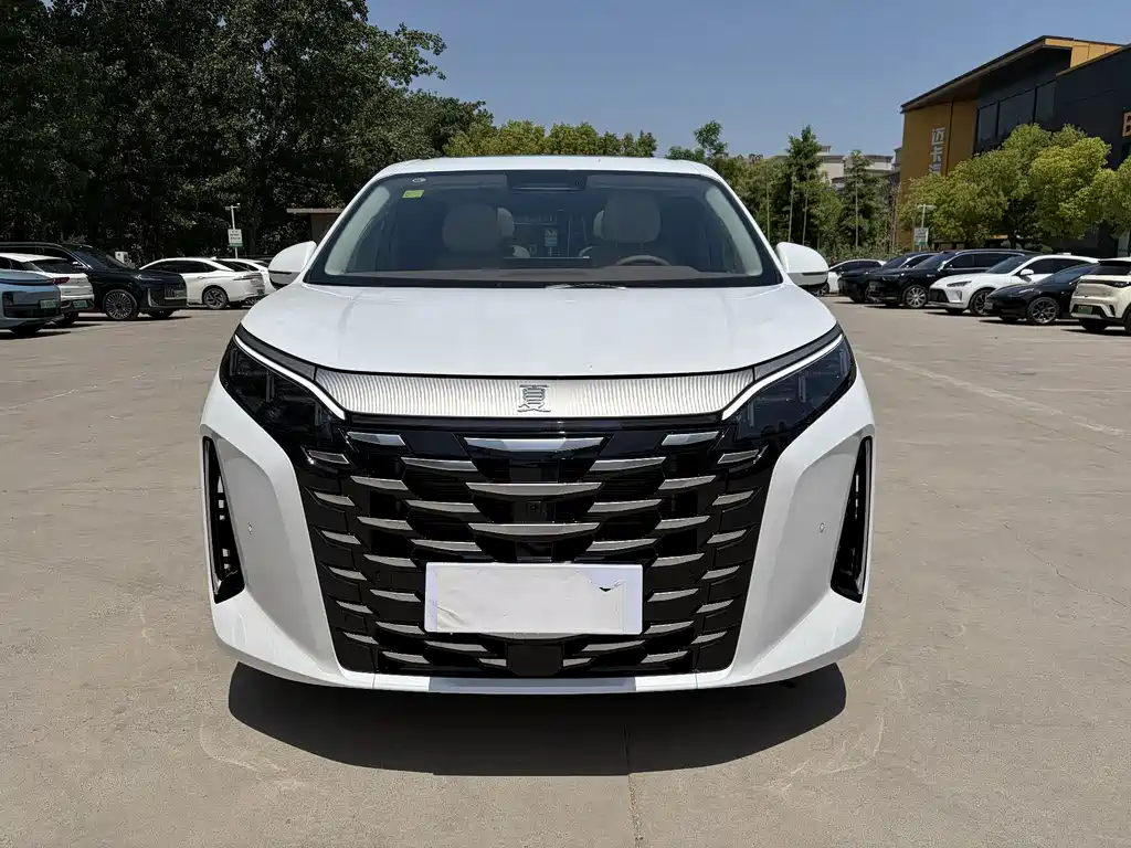 BYD Xia 2025 DM-i 1.5T 100km Leading Edition 2025 - thumbnail 2
