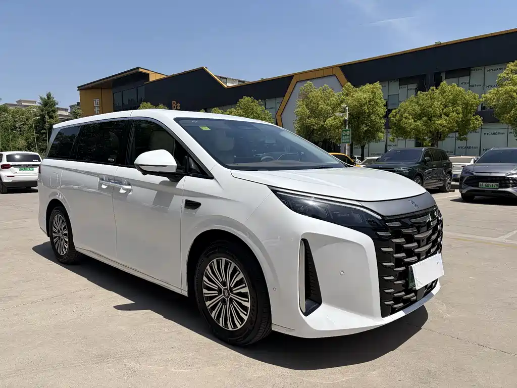 BYD Xia 2025 DM-i 1.5T 100km Leading Edition 2025 - thumbnail 3