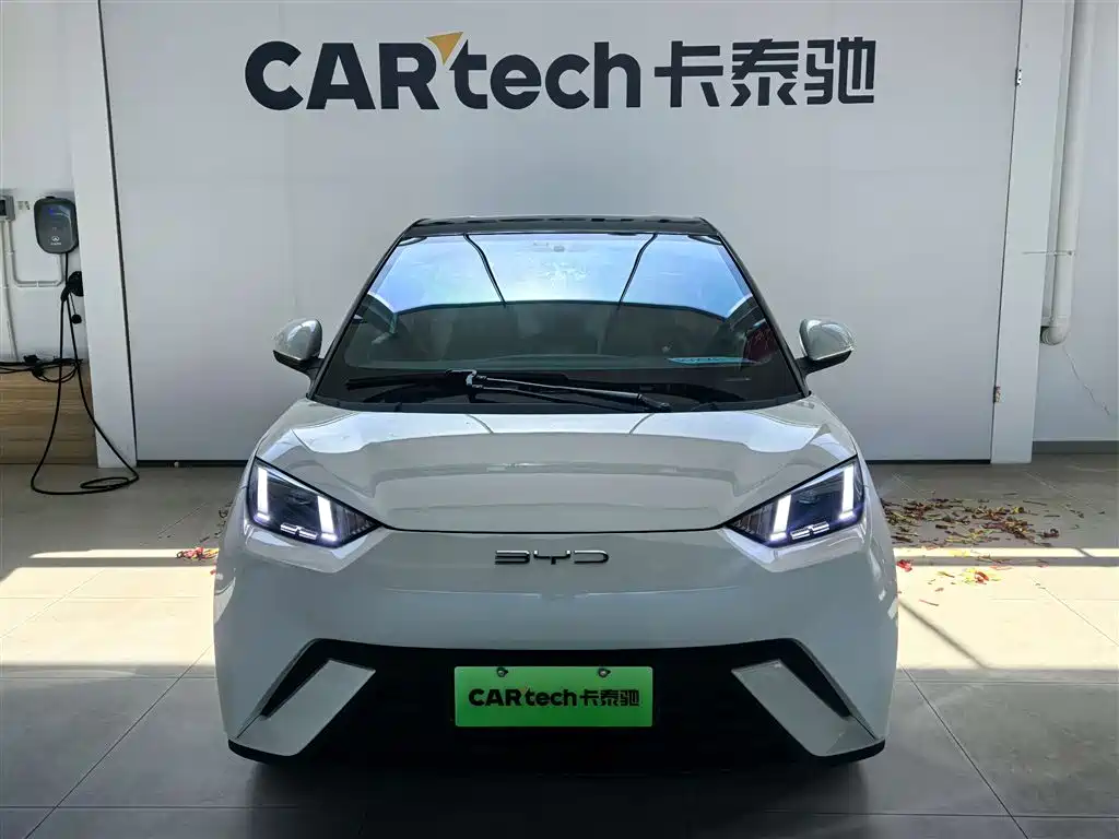 BYD BYD Seagull 2023 Freedom Edition 2024 - thumbnail 2