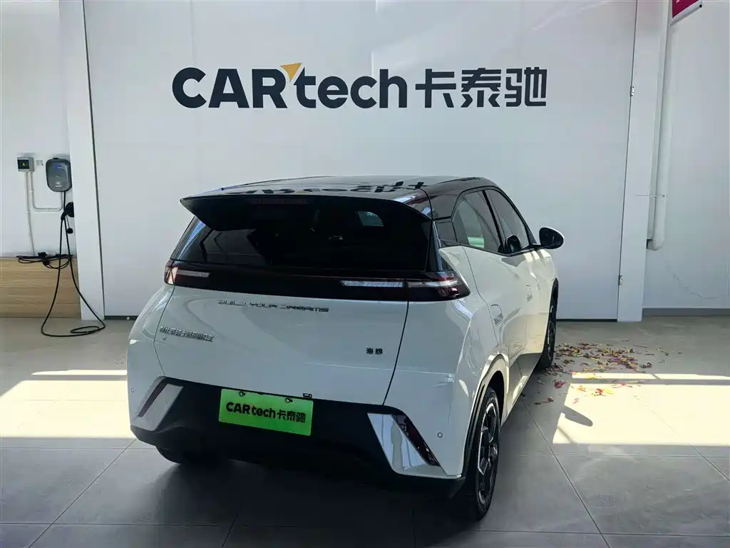 BYD BYD Seagull 2023 Freedom Edition 2024 - thumbnail 3