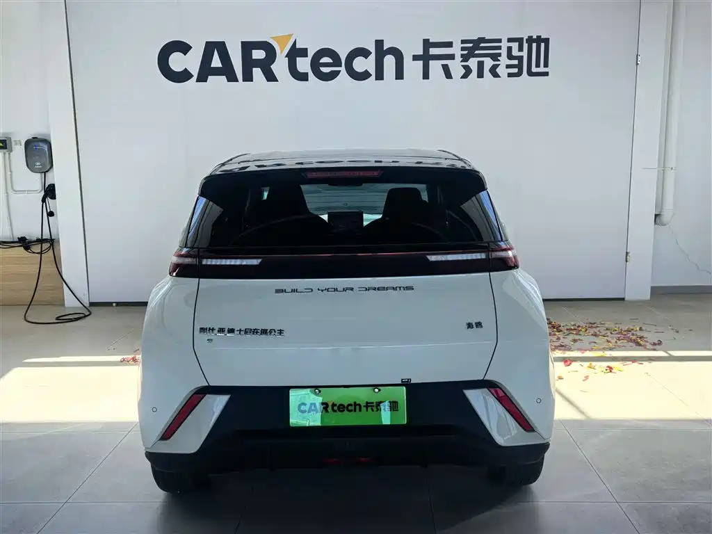 BYD BYD Seagull 2023 Freedom Edition 2024 - thumbnail 4