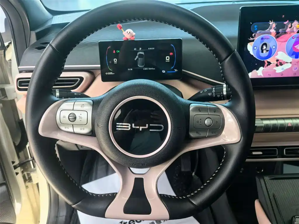 BYD BYD Seagull 2023 Freedom Edition 2024 - thumbnail 9