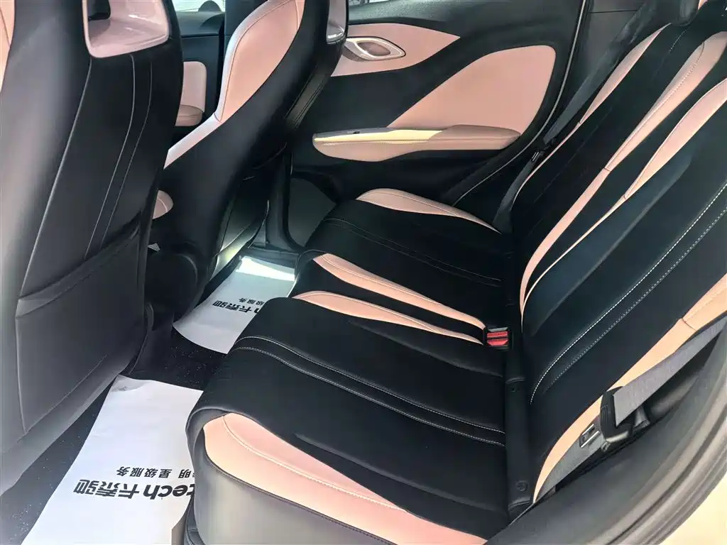 BYD BYD Seagull 2023 Freedom Edition 2024 - thumbnail 11