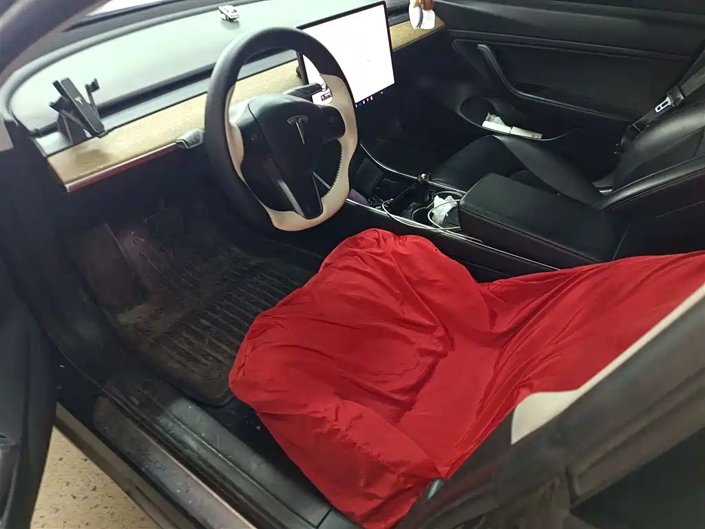 Tesla Model 3 2020 Long Range RWD 2020 - thumbnail 5