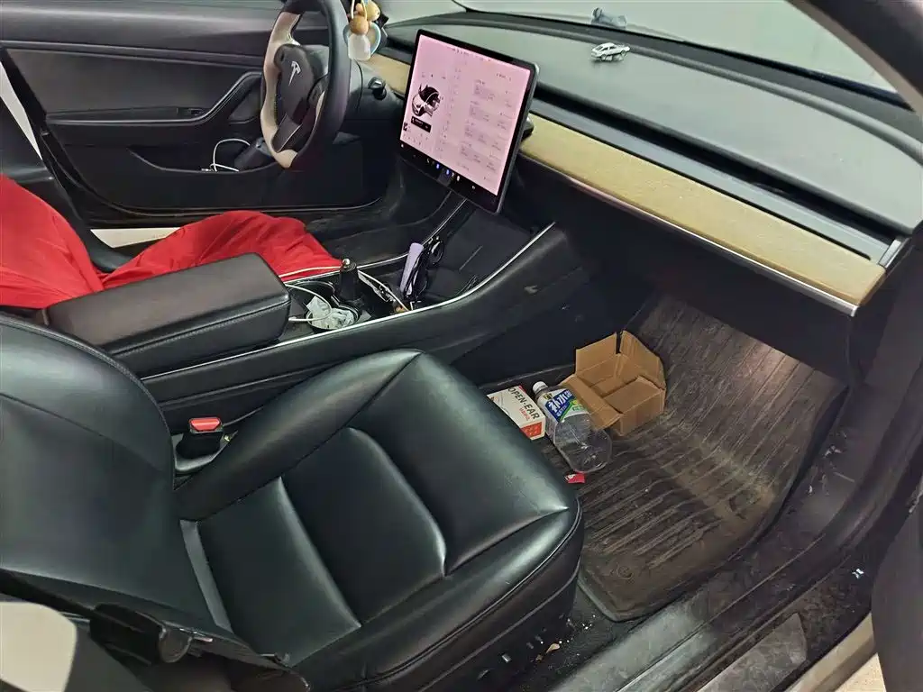 Tesla Model 3 2020 Long Range RWD 2020 - thumbnail 6