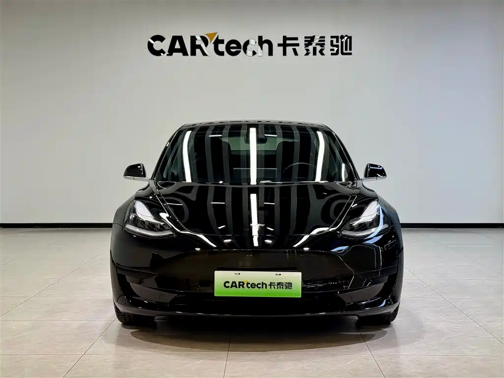 Tesla Model 3 2020 Standard Range Plus RWD 2020 - thumbnail 3