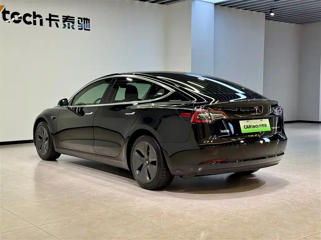 Tesla Model 3 2020 Standard Range Plus RWD 2020 - thumbnail 6