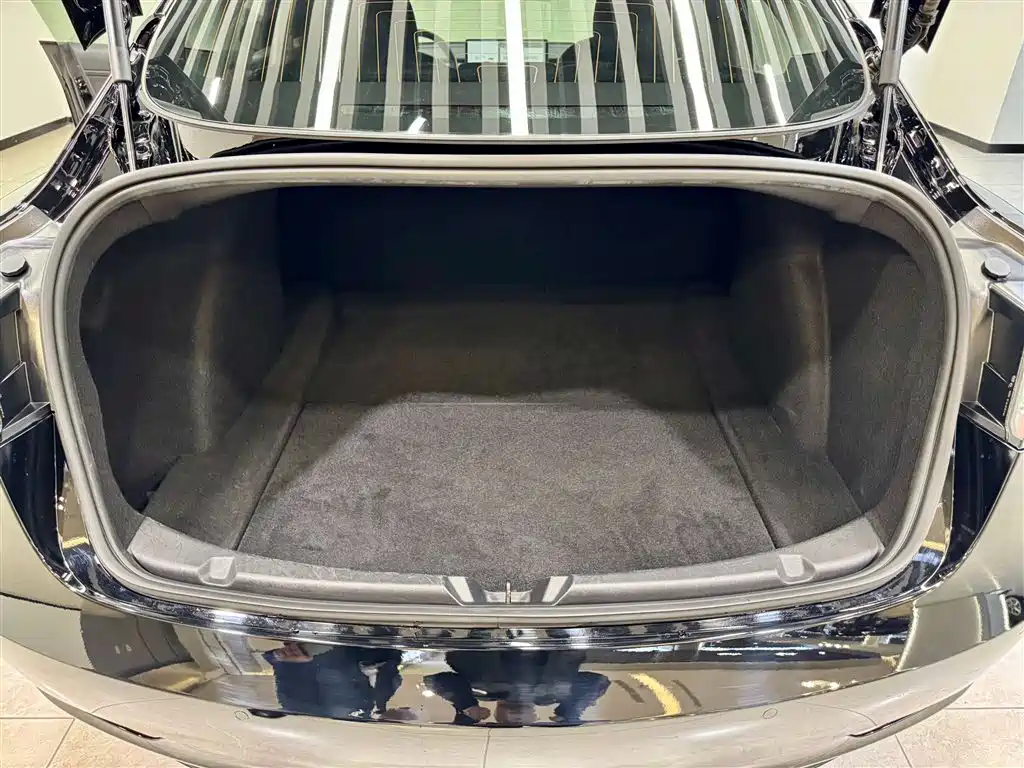 Tesla Model 3 2020 Standard Range Plus RWD 2020 - thumbnail 12