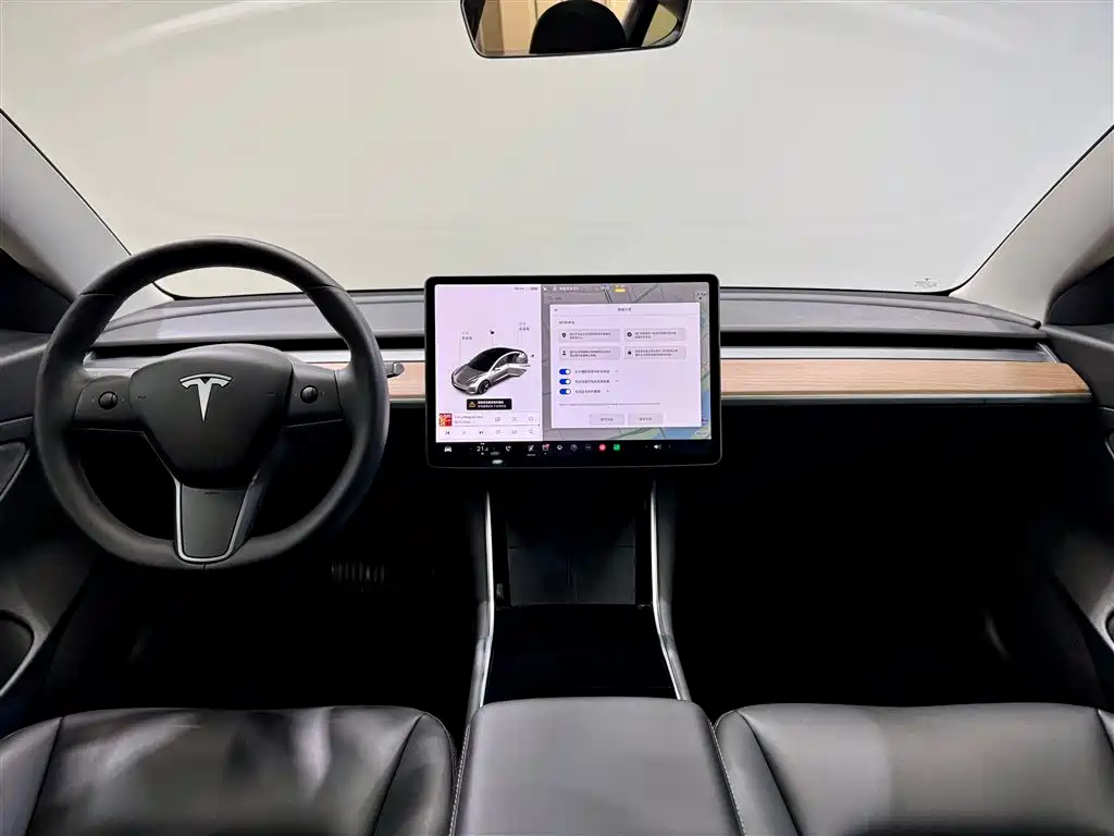 Tesla Model 3 2020 Standard Range Plus RWD 2020 - thumbnail 14