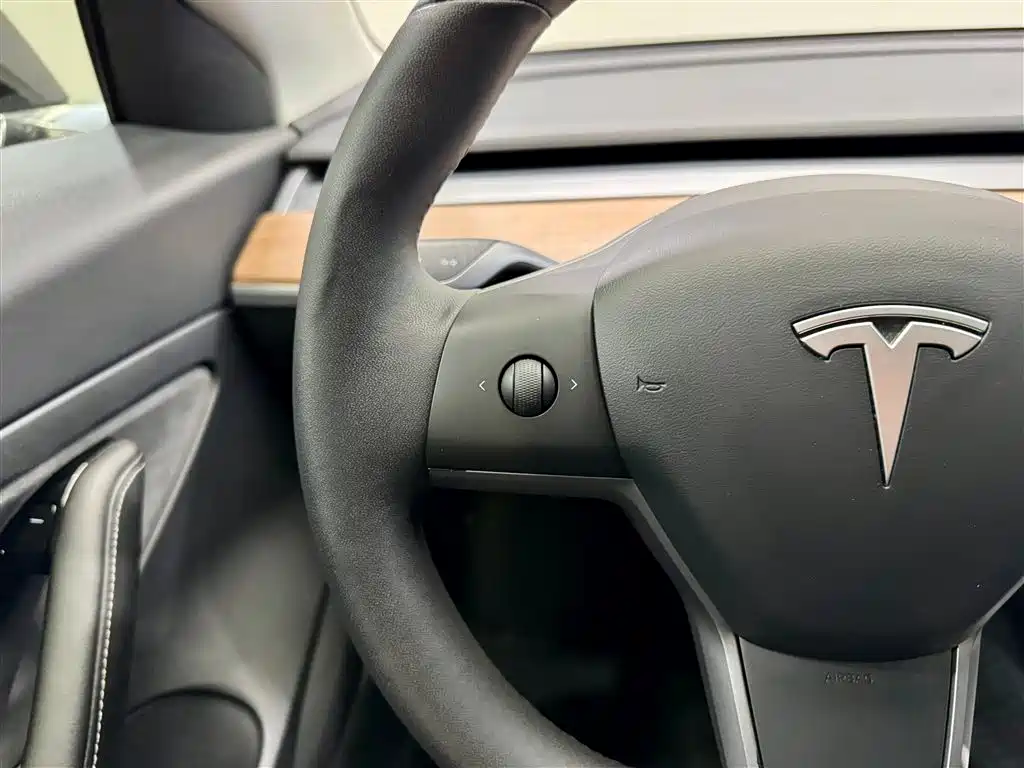 Tesla Model 3 2020 Standard Range Plus RWD 2020 - thumbnail 15