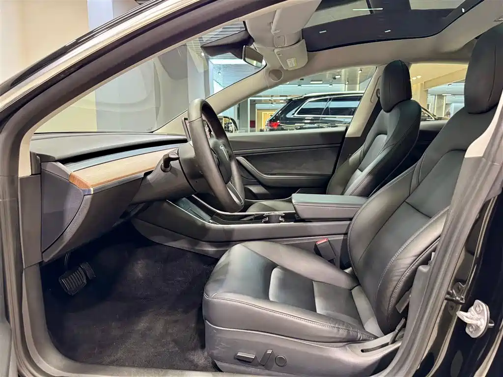 Tesla Model 3 2020 Standard Range Plus RWD 2020 - thumbnail 18