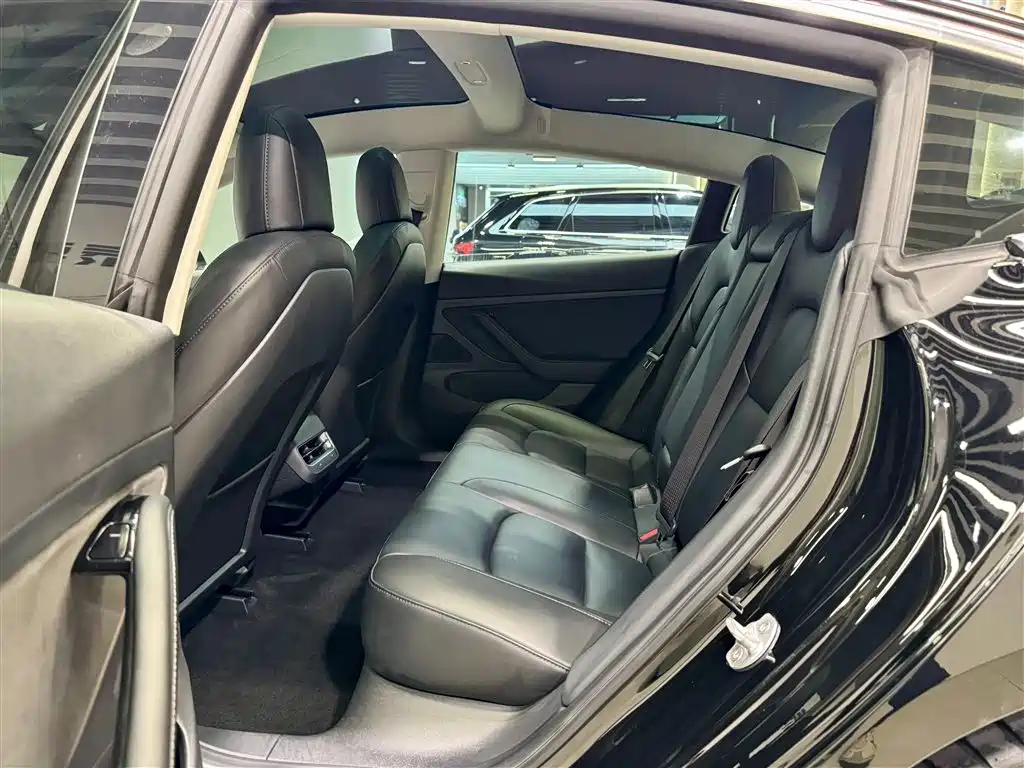 Tesla Model 3 2020 Standard Range Plus RWD 2020 - thumbnail 20
