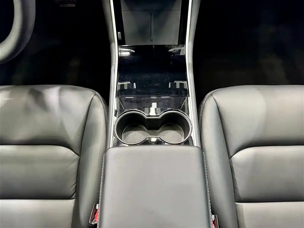 Tesla Model 3 2020 Standard Range Plus RWD 2020 - thumbnail 22