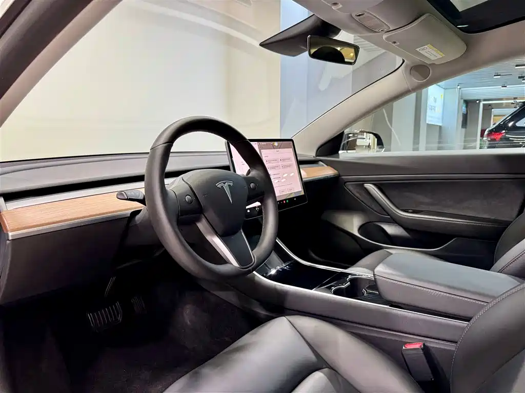 Tesla Model 3 2020 Standard Range Plus RWD 2020 - thumbnail 25