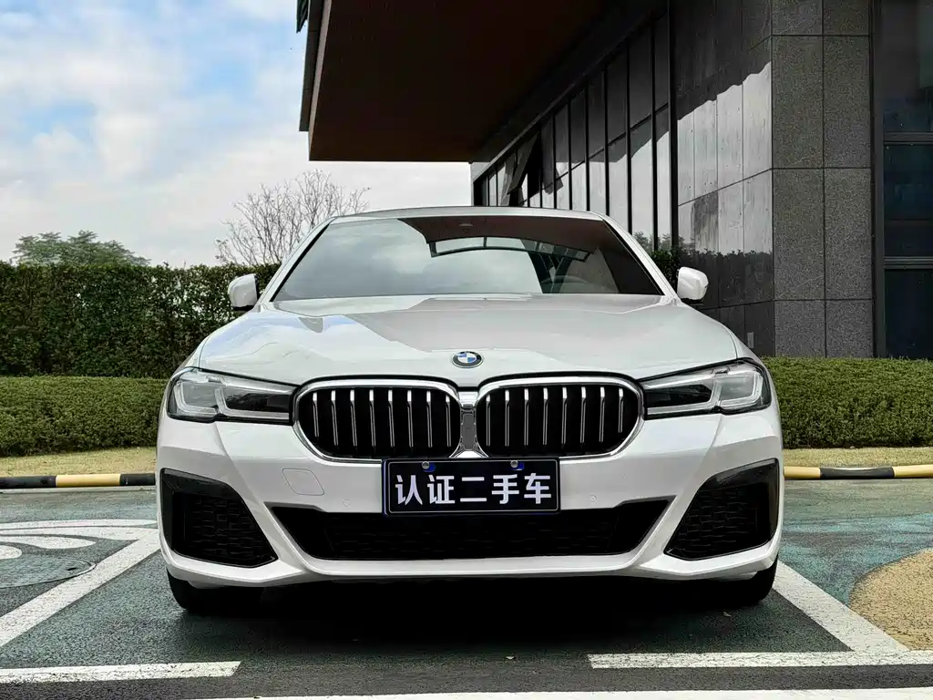 BMW BMW 5 Series 530Li M Sport 2023 - thumbnail 2