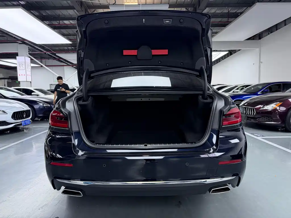 BMW BMW 5 Series 2022 525Li Luxury Package 2022 - thumbnail 17