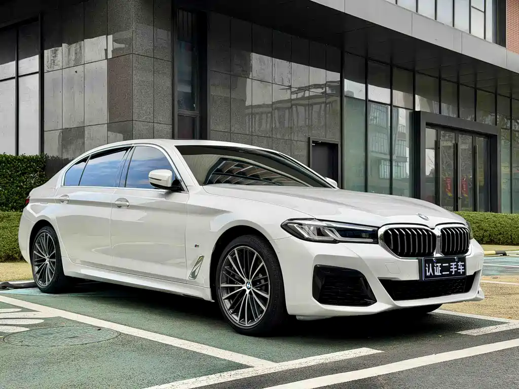 BMW BMW 5 Series 530Li M Sport 2023 - thumbnail 4