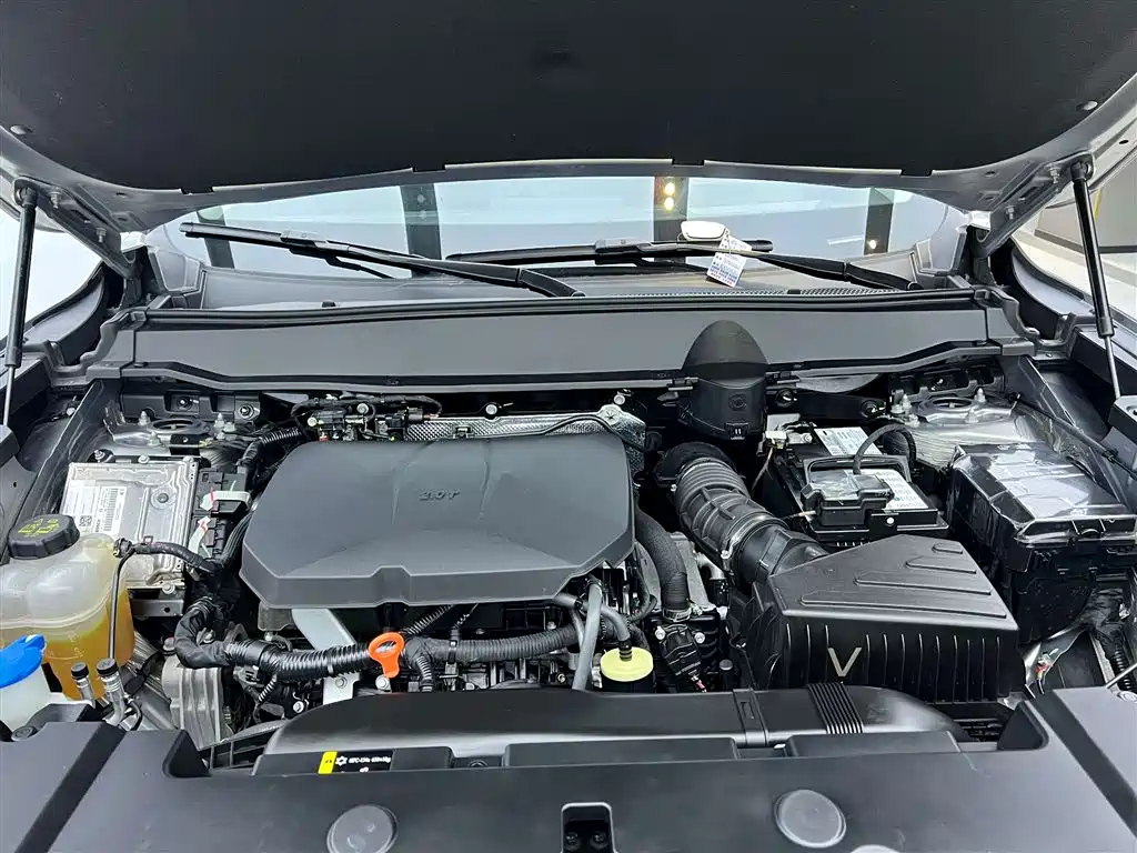 Haval Haval Big Dog PLUS 2023 2.0T AWD ChaoYe Plus 2024 - thumbnail 9