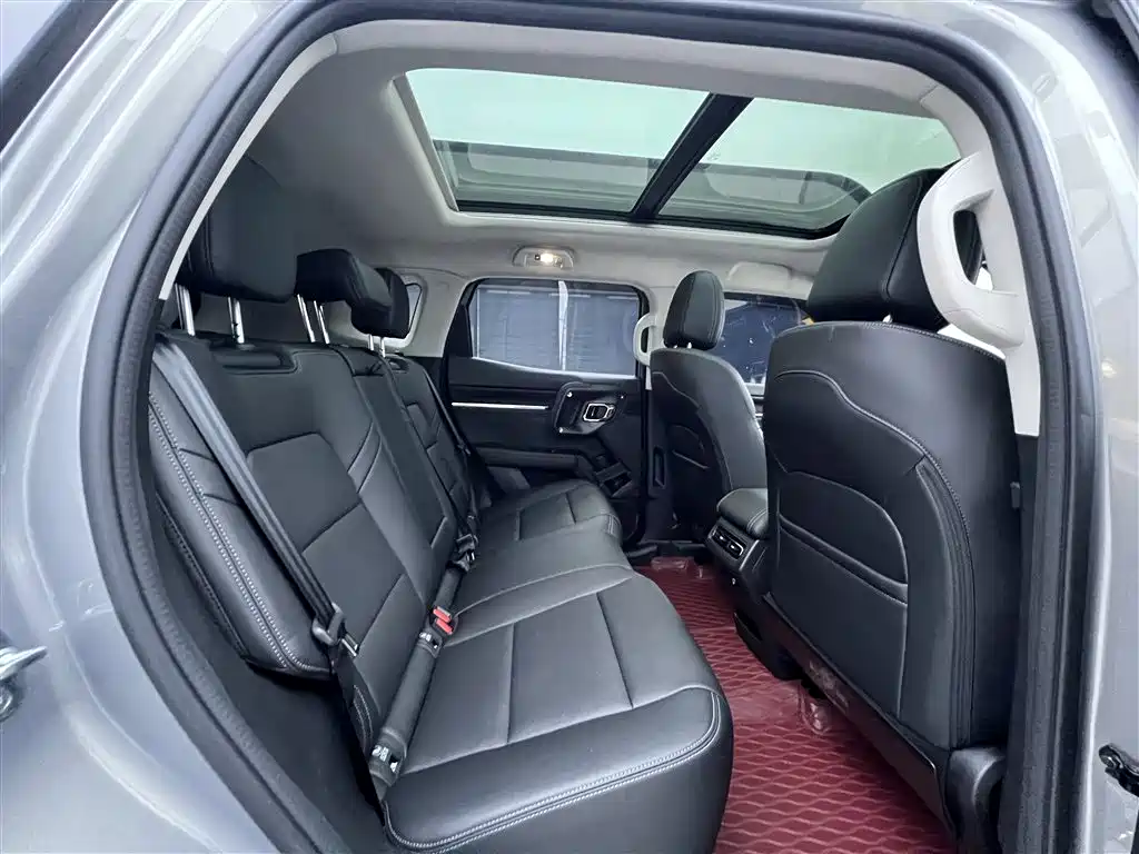 Haval Haval Big Dog PLUS 2023 2.0T AWD ChaoYe Plus 2024 - thumbnail 27