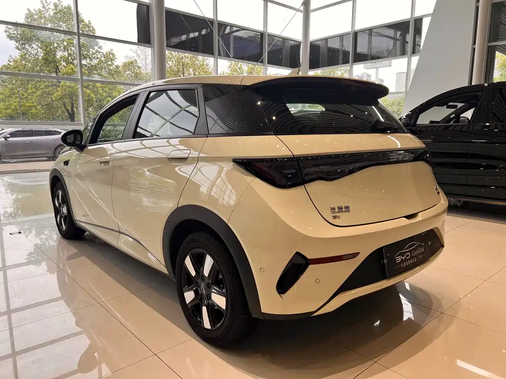 BYD BYD Dolphin 2025 Smart Driving Edition 410km Fashion Edition 2025 - thumbnail 7