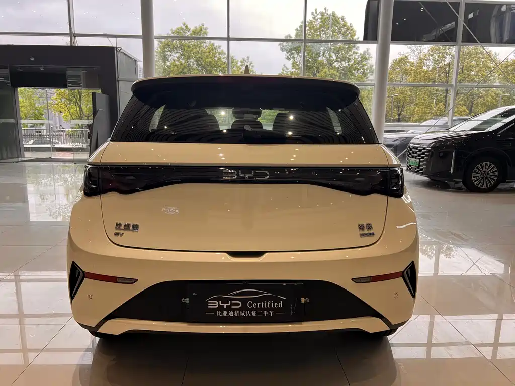 BYD BYD Dolphin 2025 Smart Driving Edition 410km Fashion Edition 2025 - thumbnail 8