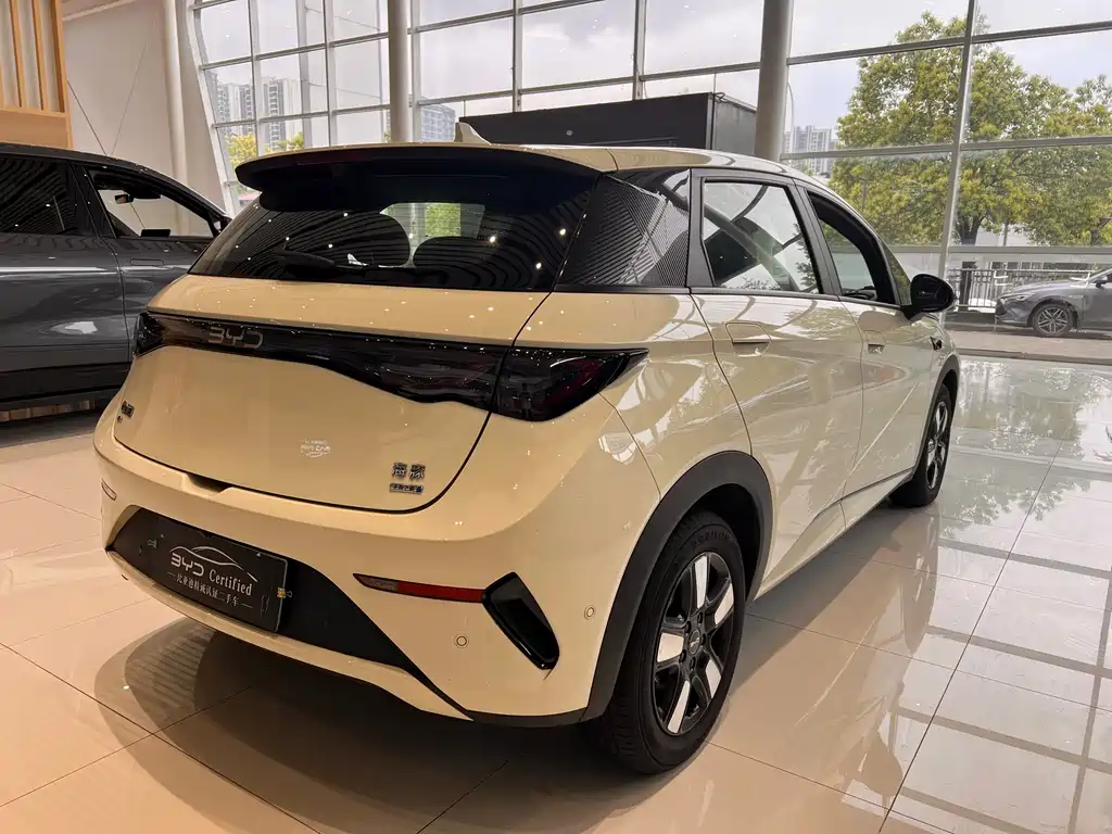 BYD BYD Dolphin 2025 Smart Driving Edition 410km Fashion Edition 2025 - thumbnail 9