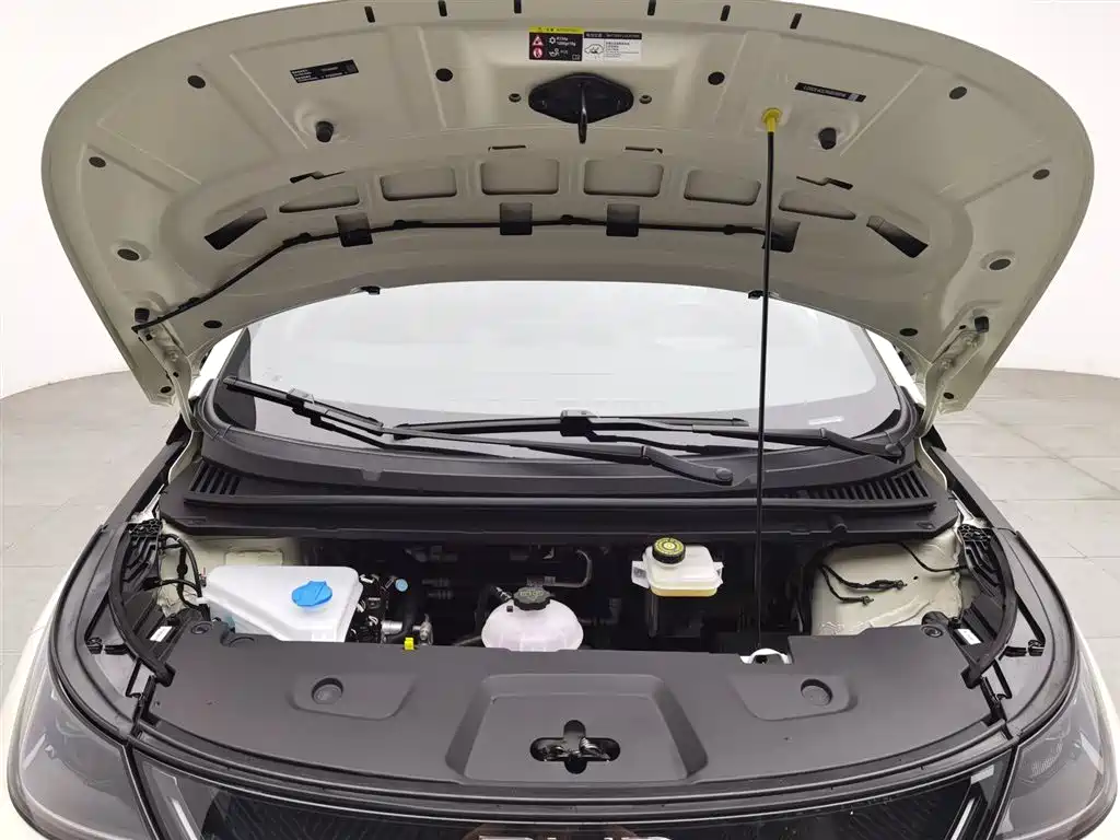 BYD BYD Dolphin 2025 Intelligent Driving Edition 420km Free Edition 2025 - thumbnail 6