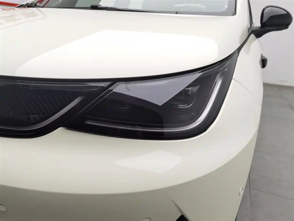 BYD BYD Dolphin 2025 Intelligent Driving Edition 420km Free Edition 2025 - thumbnail 7