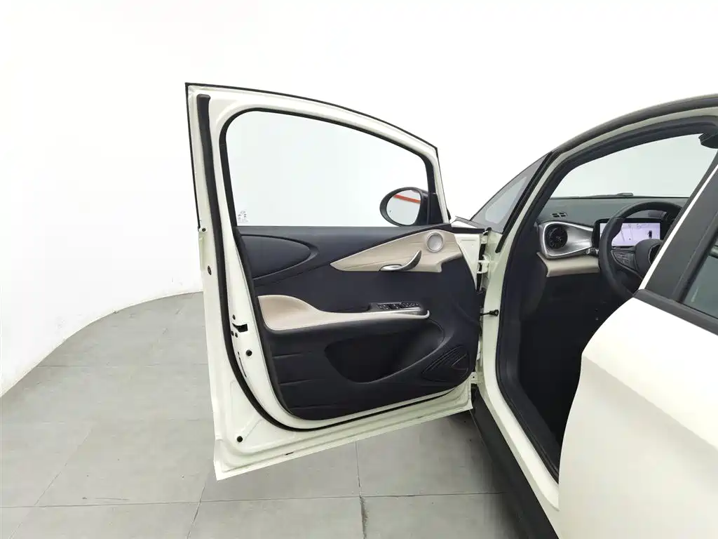 BYD BYD Dolphin 2025 Intelligent Driving Edition 420km Free Edition 2025 - thumbnail 8