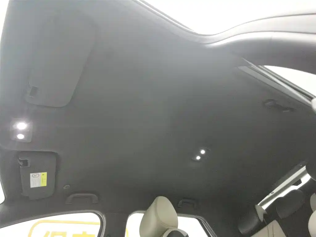 BYD BYD Dolphin 2025 Intelligent Driving Edition 420km Free Edition 2025 - thumbnail 14