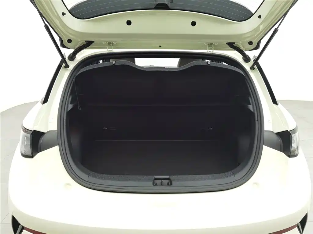 BYD BYD Dolphin 2025 Intelligent Driving Edition 420km Free Edition 2025 - thumbnail 16