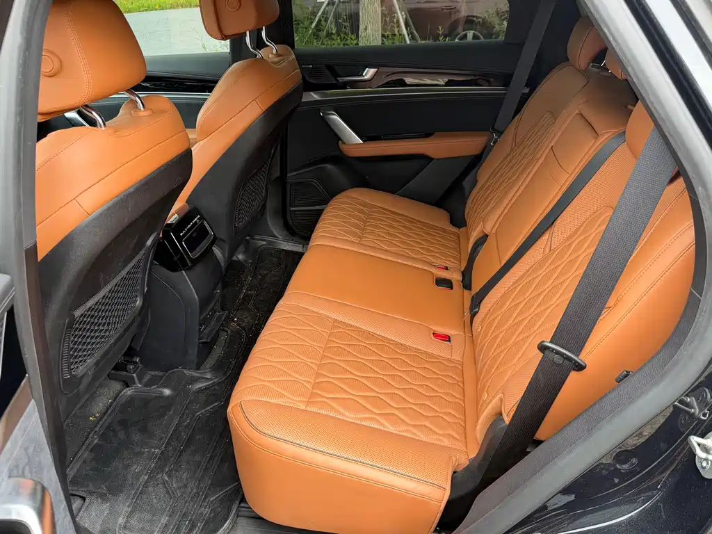 BYD Tang EV 730KM Premium Edition 2022 2022 - thumbnail 6