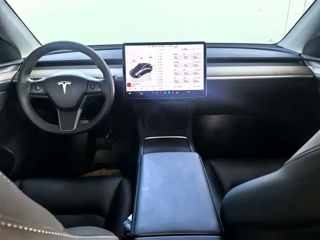 Tesla Model Y 2022 Rear-Wheel Drive 2023 - thumbnail 8