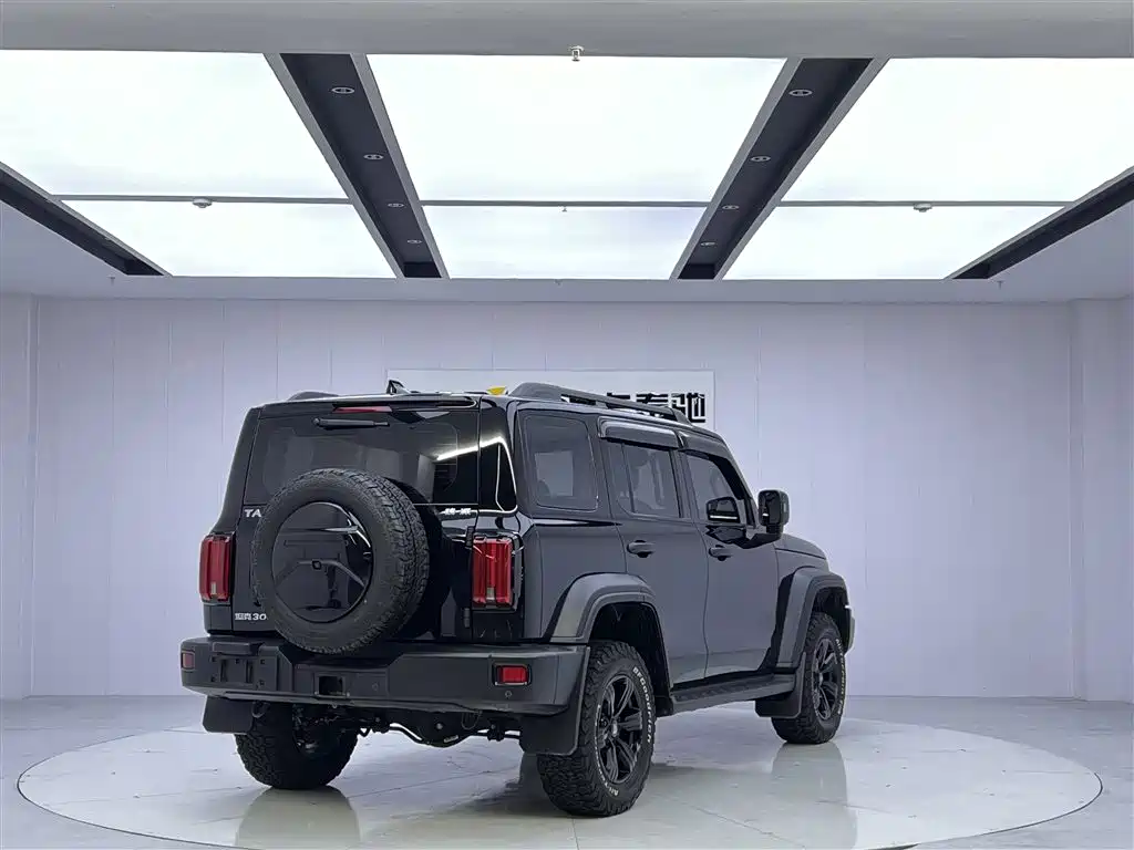 Tank Tank 300 2021 Off-Road Edition 2.0T Conqueror 2021 - thumbnail 5
