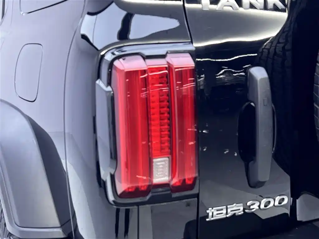 Tank Tank 300 2021 Off-Road Edition 2.0T Conqueror 2021 - thumbnail 10