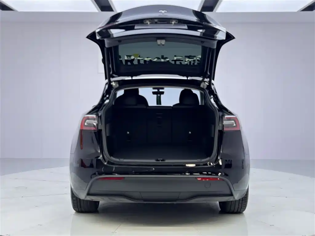 Tesla Model Y 2021 Long Range AWD 2021 - thumbnail 13