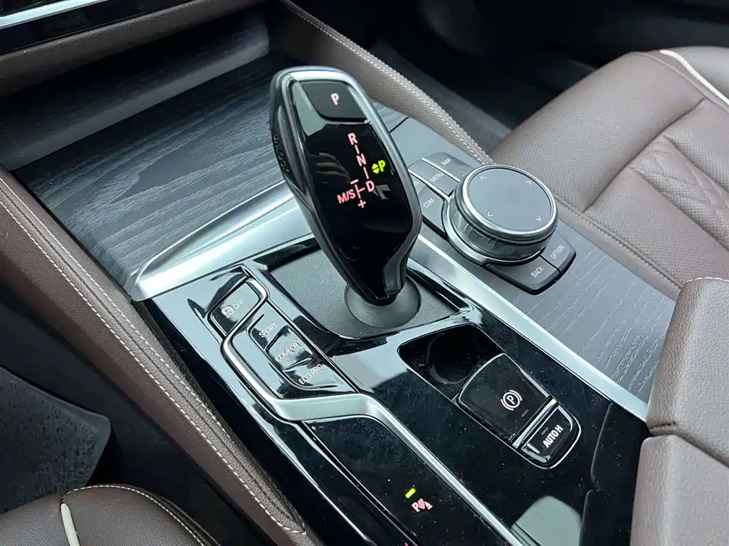 BMW BMW 5 Series 2023 530Li Leading Model M Sport Package 2023 - thumbnail 20