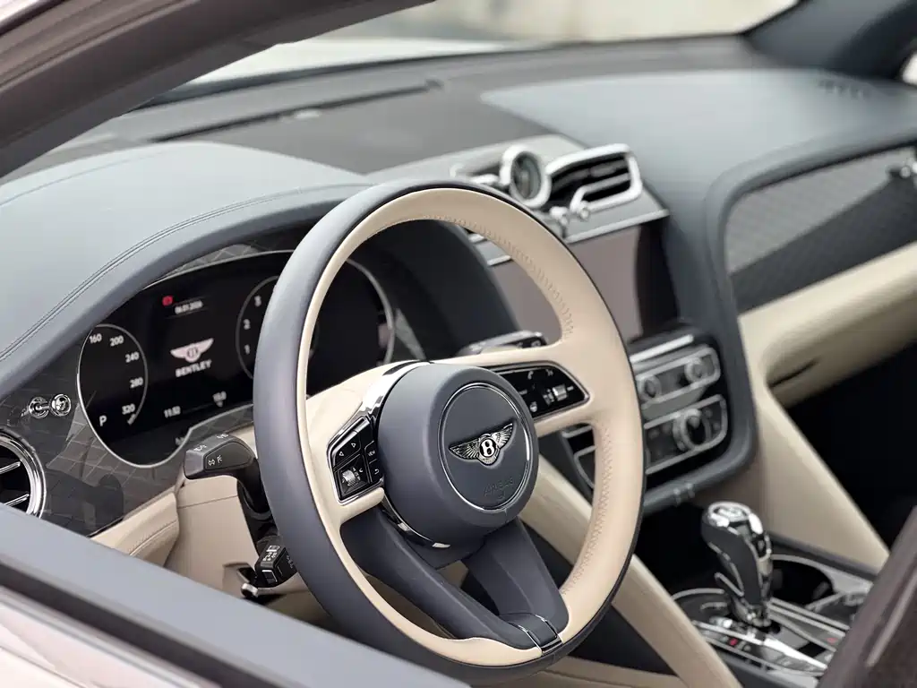 Bentley Bentayga 2022 4.0T V8 2022 - thumbnail 14